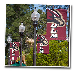  banners on poles around campus