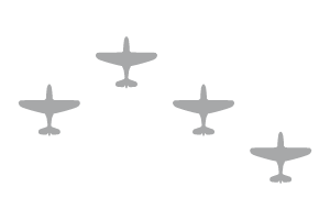  Warhawks P40 Fingertip Formation